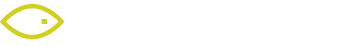 viisights logo