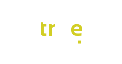 viisights true product logo