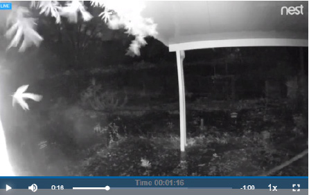 viisights true video analytics solution in use screenshot