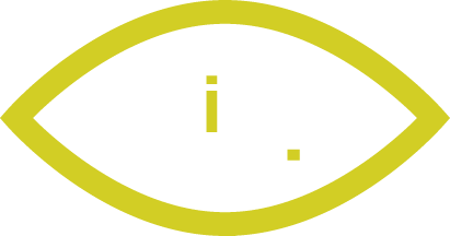 viisights wise product logo