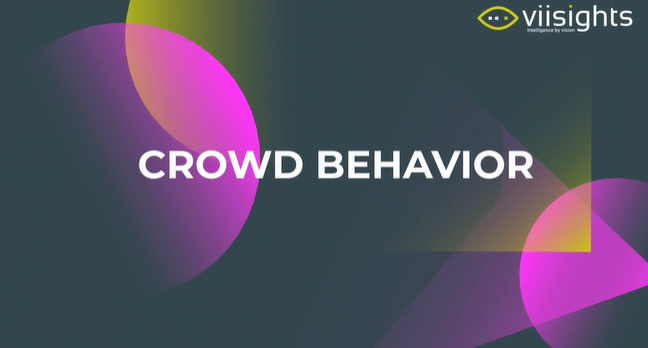 Crowd detection and behavioral recognition video analytics