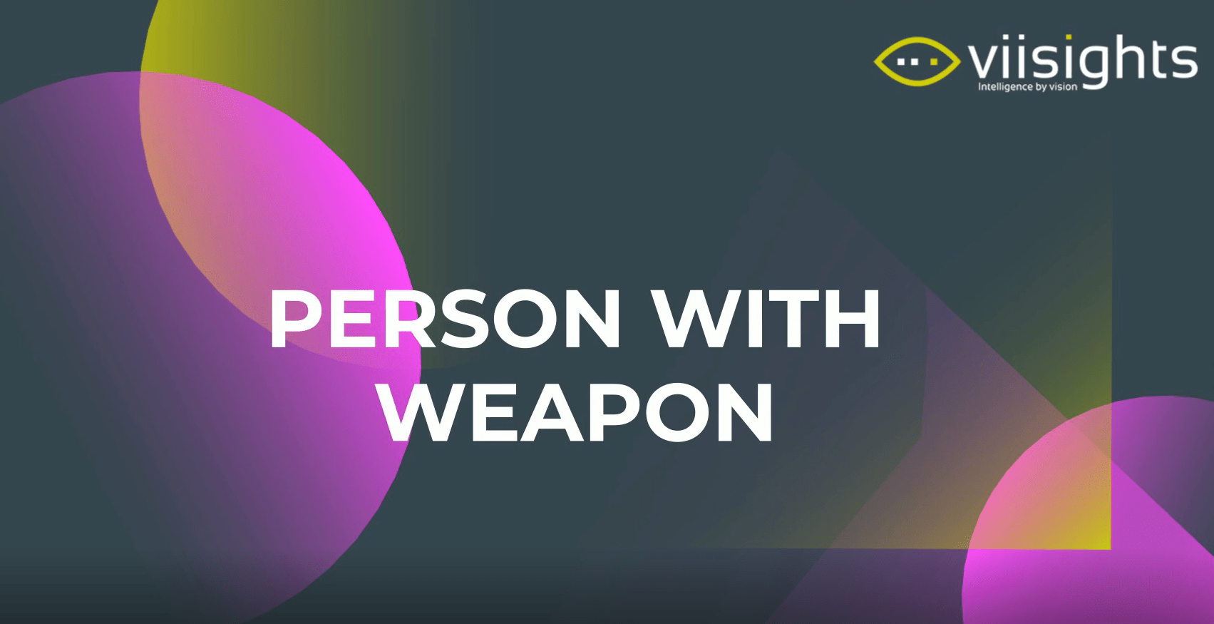 Visual Weapon and Gun Detection